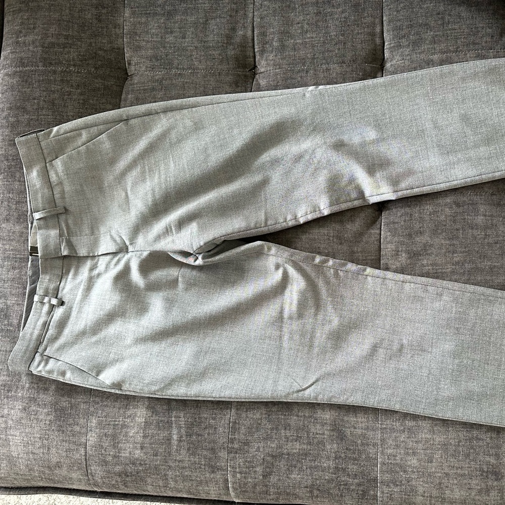 Express dress pants